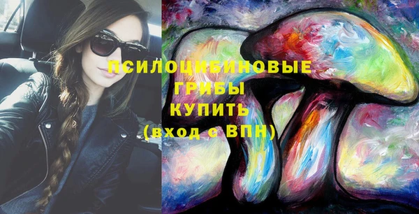 мдпв Армянск