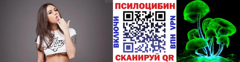 MEGA tor  Семилуки  Псилоцибиновые грибы прущие грибы 